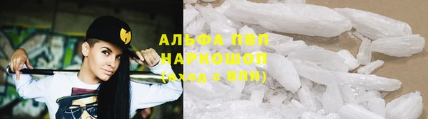 стаф Вяземский