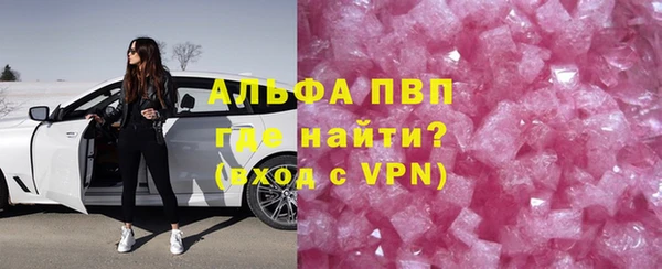 стаф Вяземский