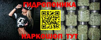spice Берёзовский