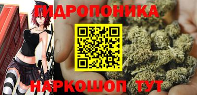 дживик Бийск