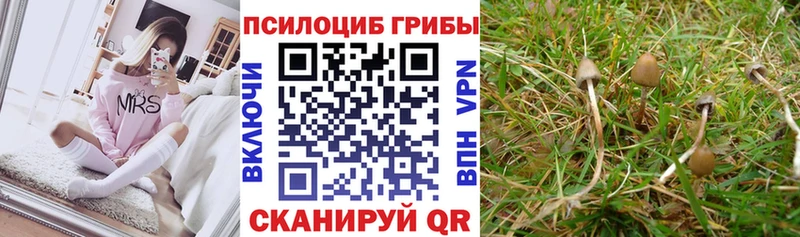 Псилоцибиновые грибы MAGIC MUSHROOMS  Верхняя Салда 