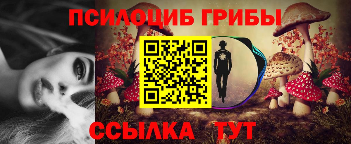 Верхняя Салда  Псилоцибиновые грибы Psilocybe  Вход с VPN 