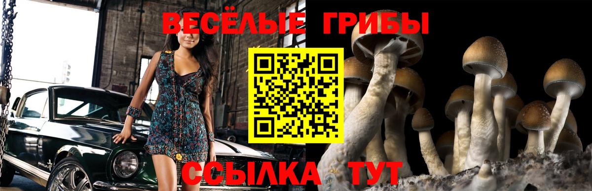 Галлюциногенные грибы Psilocybe Верхняя Салда
